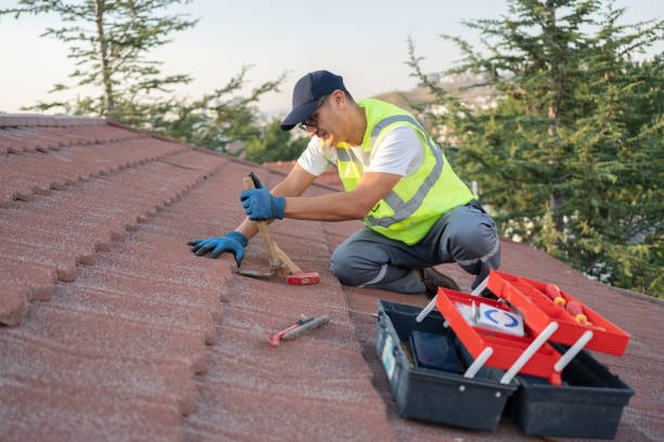 Best Residential Roof Replacement  in Biloxi, MS